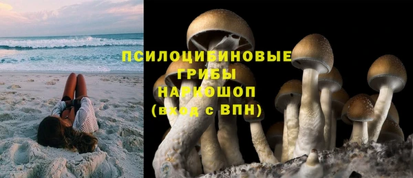 таблы Армянск