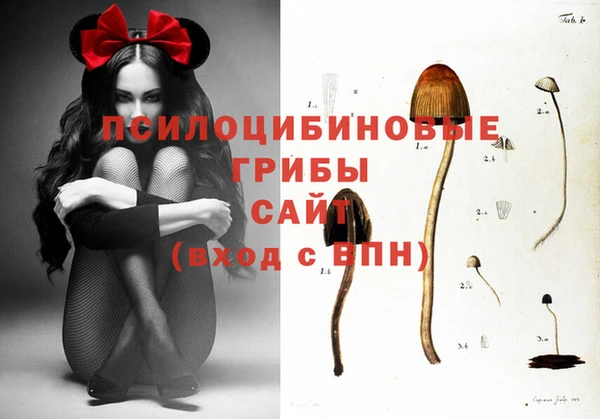 таблы Армянск